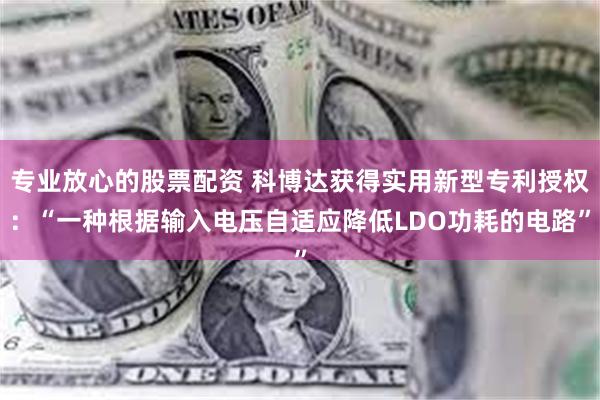 专业放心的股票配资 科博达获得实用新型专利授权：“一种根据输入电压自适应降低LDO功耗的电路”