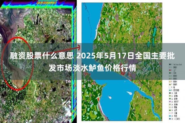 融资股票什么意思 2025年5月17日全国主要批发市场淡水鲈鱼价格行情