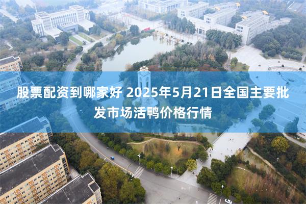 股票配资到哪家好 2025年5月21日全国主要批发市场活鸭价格行情
