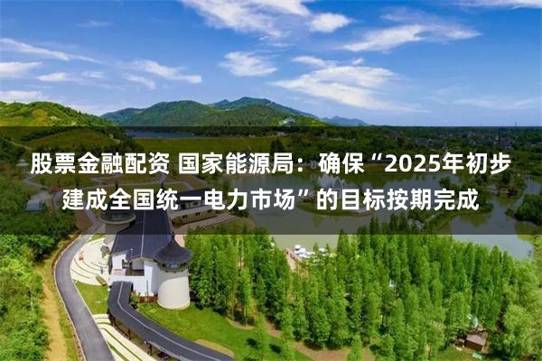 股票金融配资 国家能源局：确保“2025年初步建成全国统一电力市场”的目标按期完成