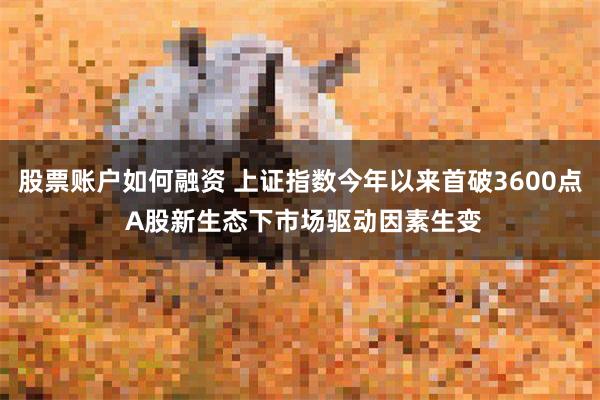 股票账户如何融资 上证指数今年以来首破3600点 A股新生态下市场驱动因素生变