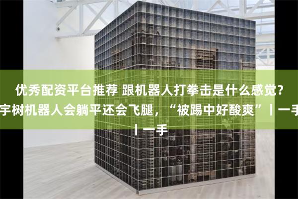 优秀配资平台推荐 跟机器人打拳击是什么感觉？ 宇树机器人会躺平还会飞腿，“被踢中好酸爽”丨一手